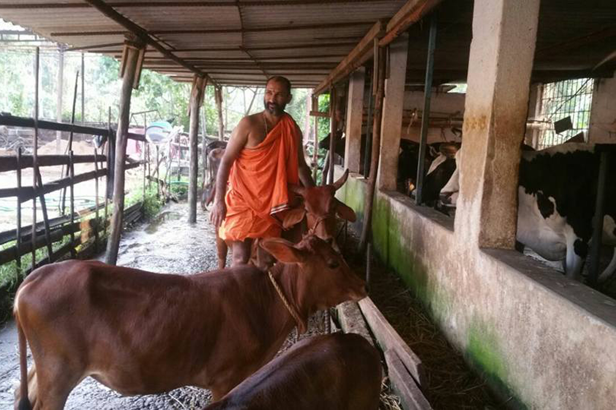 cow-protection